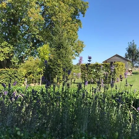 Hébergement de vacances Vakantiewoning