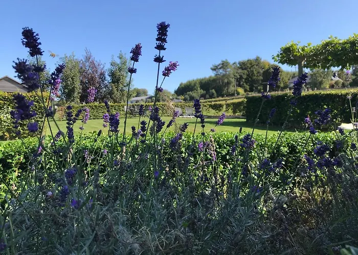 Vakantiewoning Dom wakacyjny *