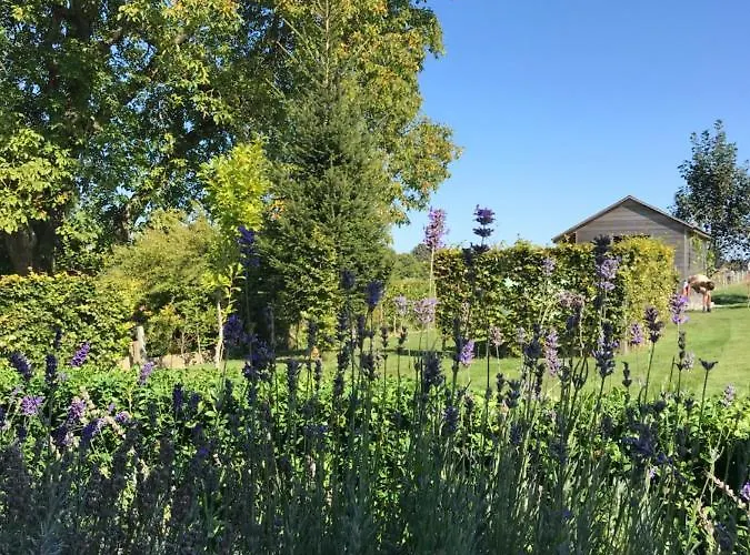 Dom wakacyjny Vakantiewoning